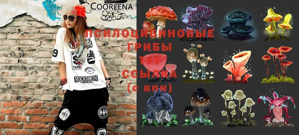 тгк Козельск