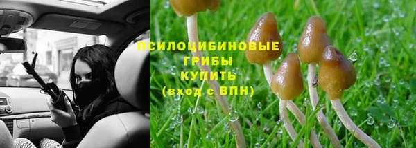ECSTASY Кодинск