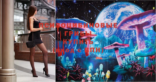 тгк Козельск